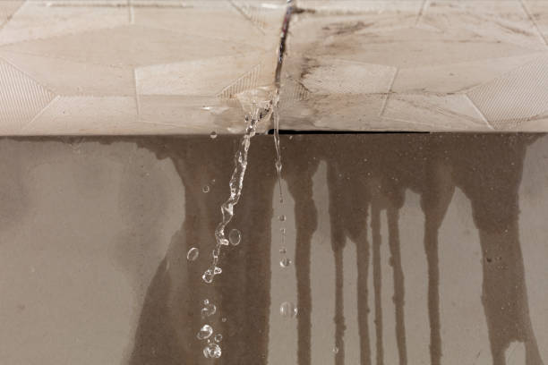 Professional Structural Drying technician working in Ola, ID